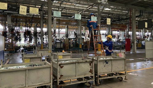 幾百平的地,就這么多出來了