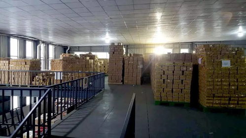 成都,多面的 雙11