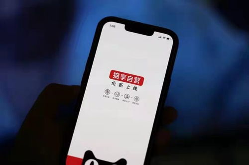 電商用戶難長情 阿里京東唯品會深度布局自營,新賽道已浮現